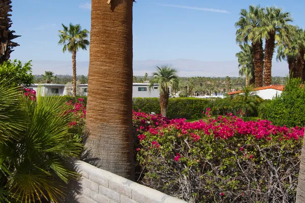 a view of swimming pool with outdoor seating and plants