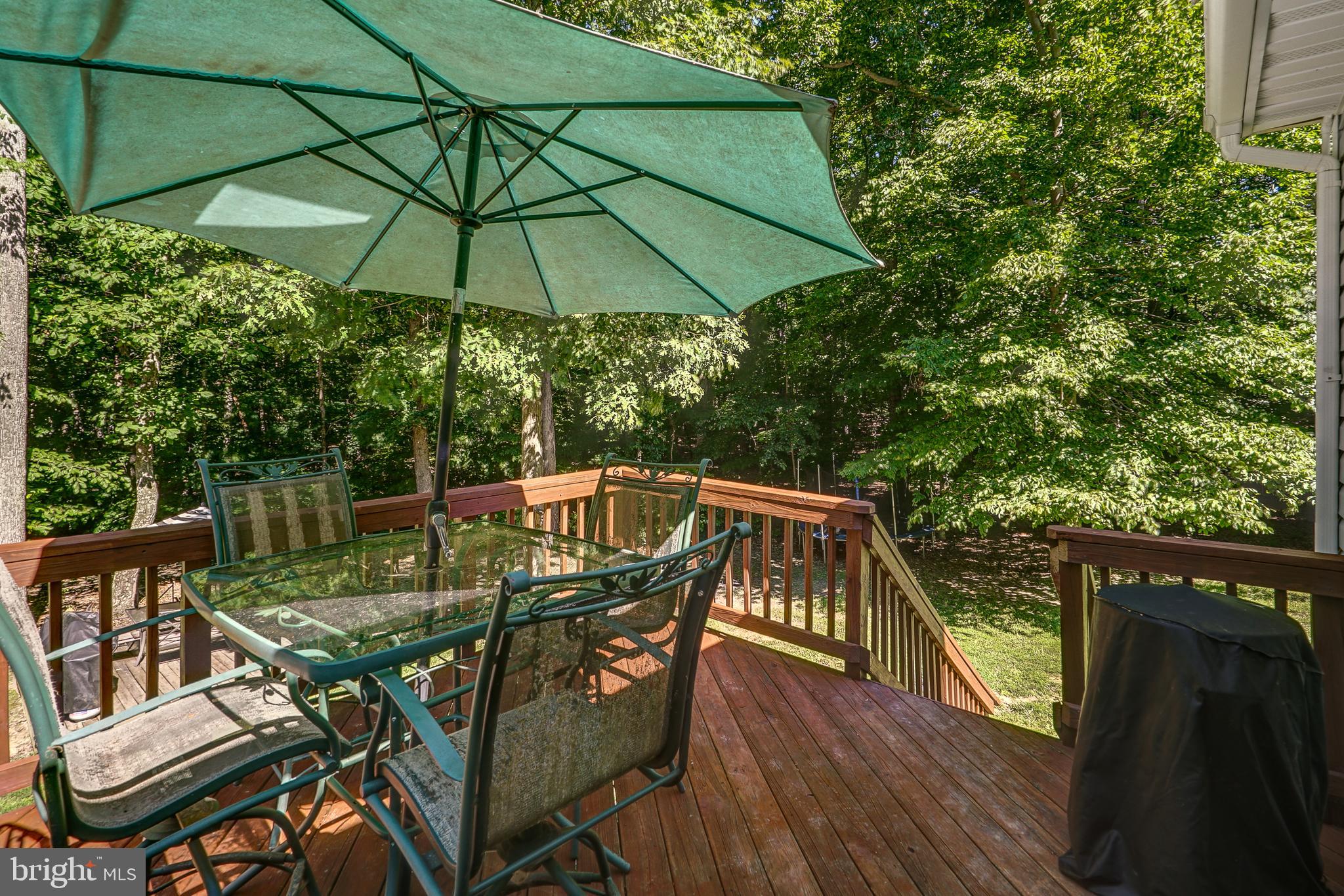 2493 Roundabout Road Louisa, VA 23093 - Photo 30 of 48 Gallery Image 30