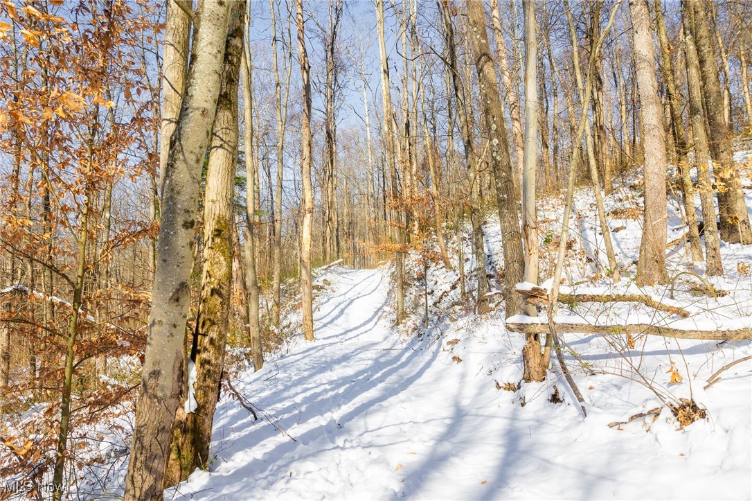 138 Township Road Coshocton, OH 43812 - Photo 27 of 47 View of snowy yard