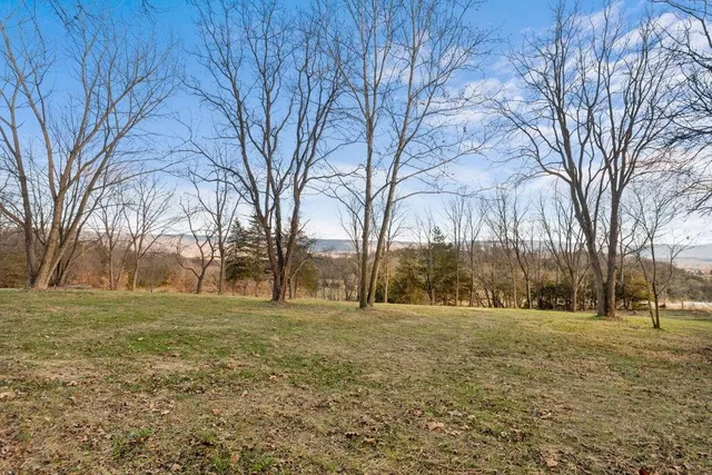 a view of outdoor space with trees