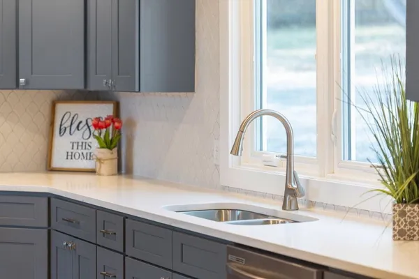 a kitchen with a sink and a potted plant