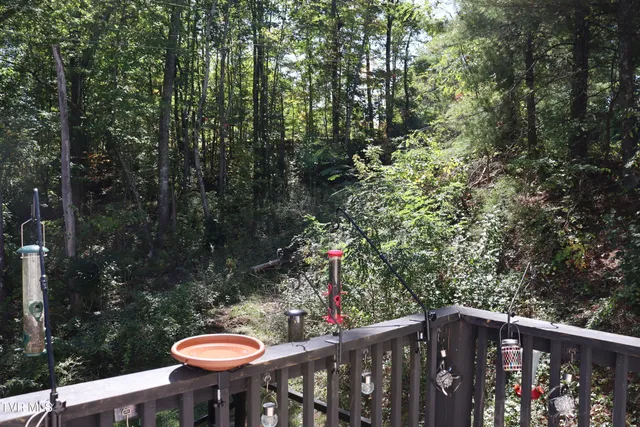 $129,900 | 48 Laurel Ridge, Big Stone Gap, VA 24219