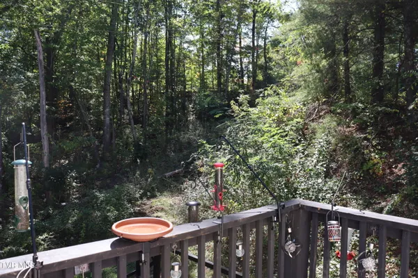 $126,000 | 48 Laurel Ridge, Big Stone Gap, VA 24219