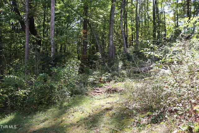 $130,000 | 48 Laurel Ridge, Big Stone Gap, VA 24219