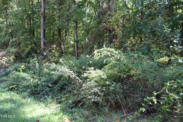 $126,000 | 48 Laurel Ridge, Big Stone Gap, VA 24219