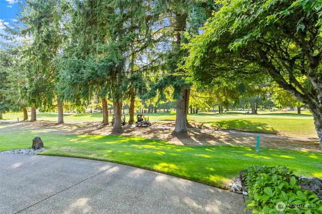 a view of a yard with a tree