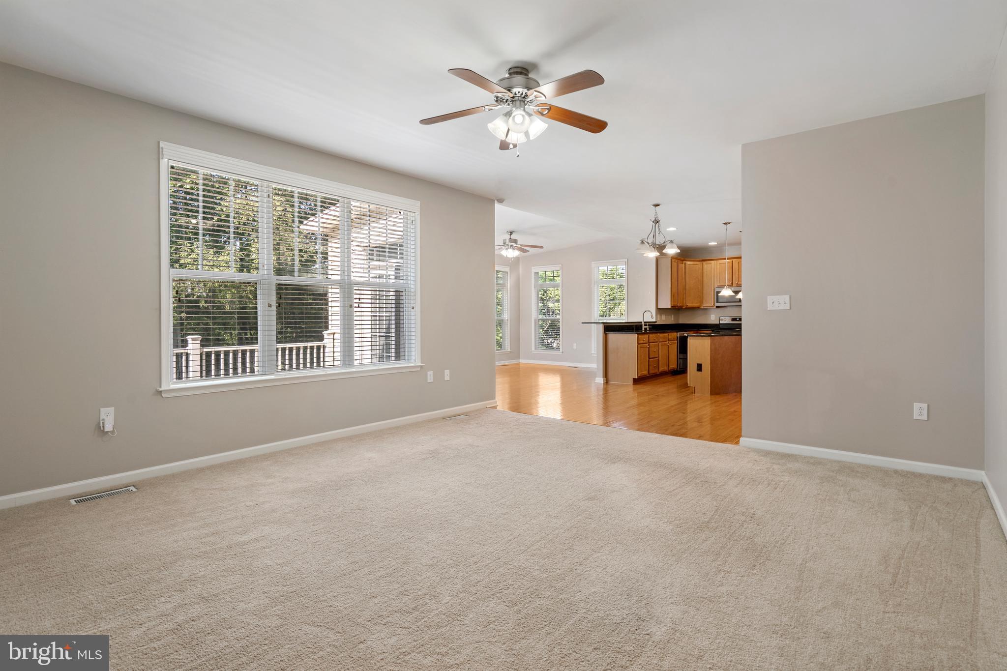 788 Rivanna Run Falling Waters, WV 25419 - Photo 15 of 73