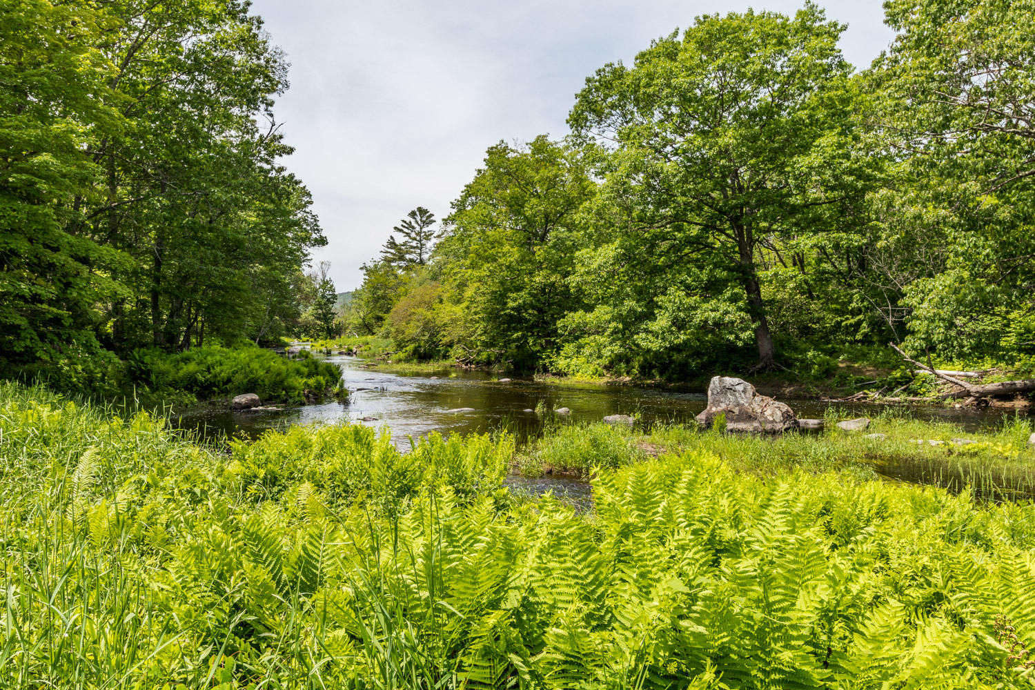 285 Camden Road Appleton, ME 04862 - Photo 5 of 62 20190619ms-82081