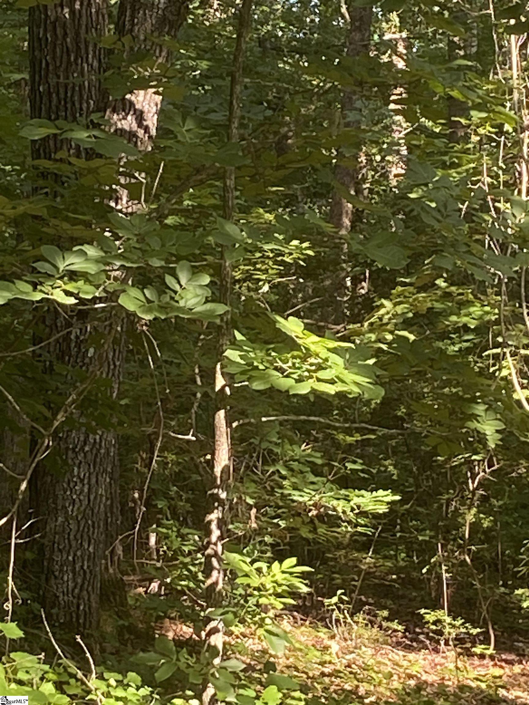 0 Windtree Ridge Pickens, SC 29671 - Photo 1 of 20