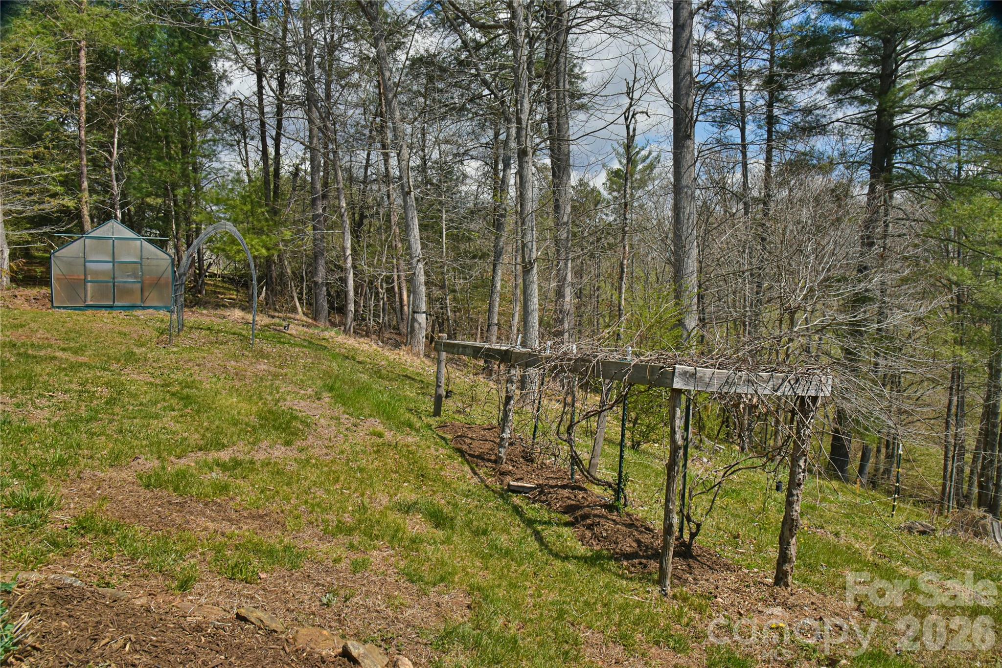 326 Panther Branch Road Alexander, NC 28701 - Photo 23 of 32