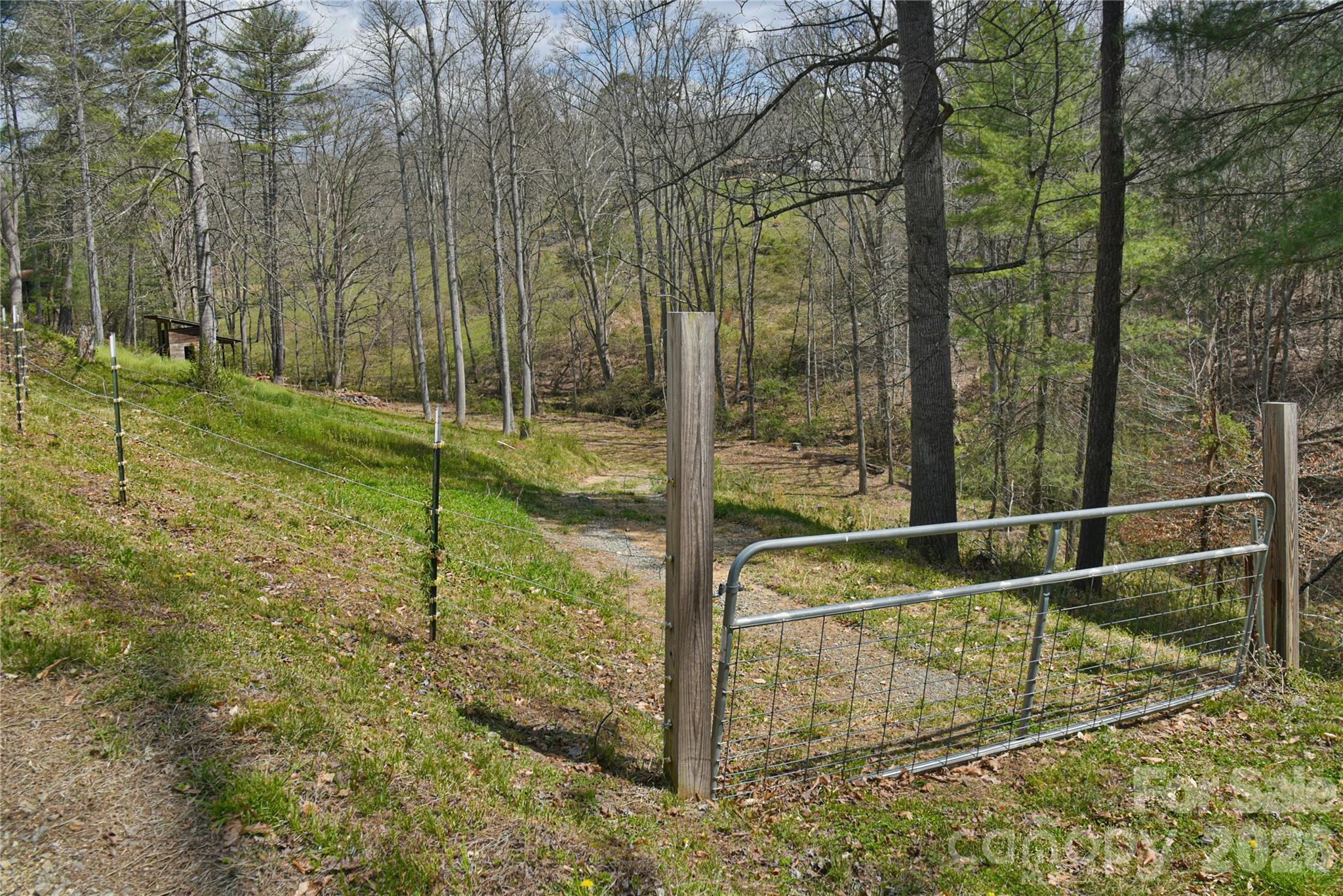 326 Panther Branch Road Alexander, NC 28701 - Photo 27 of 32