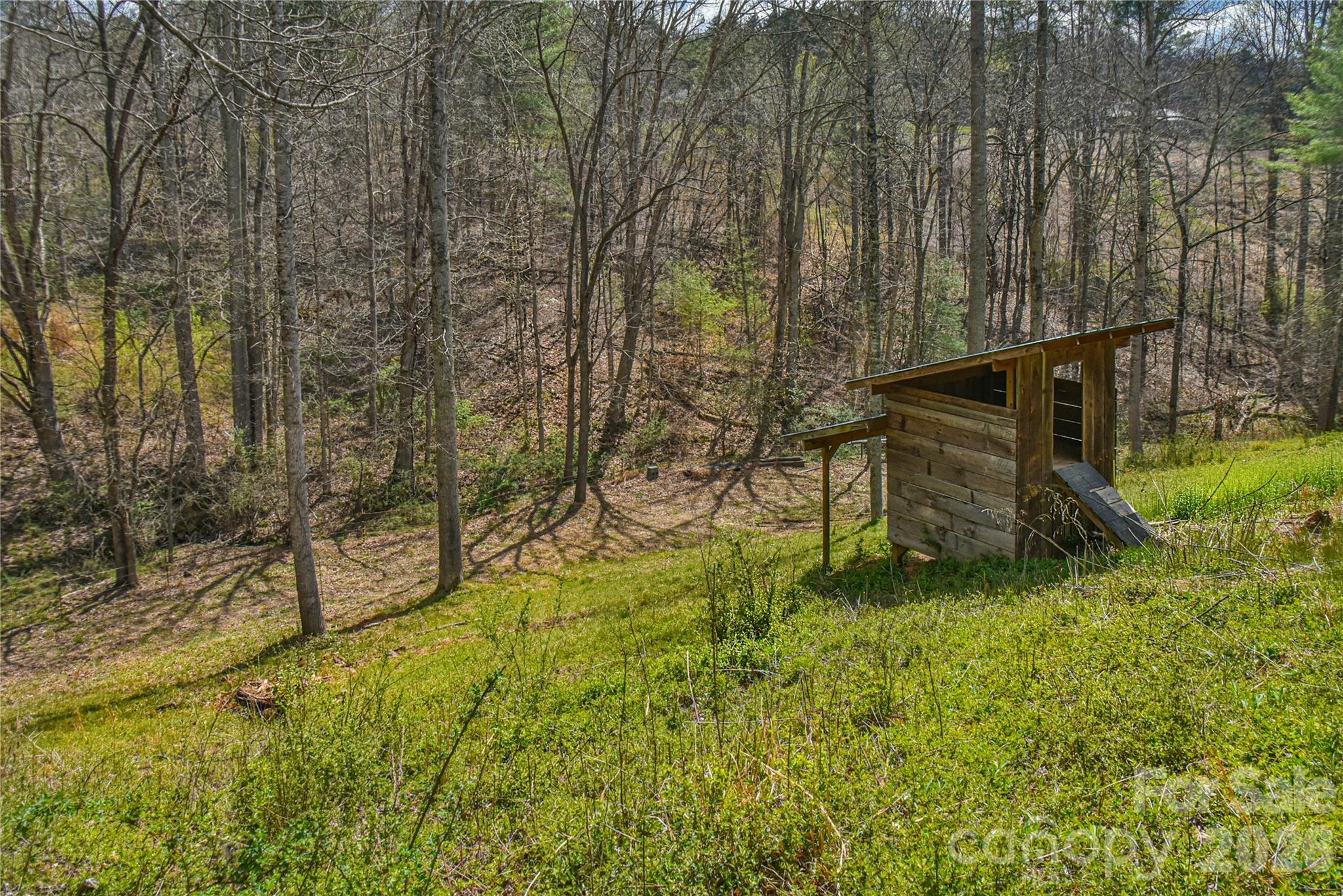 326 Panther Branch Road Alexander, NC 28701 - Photo 28 of 32