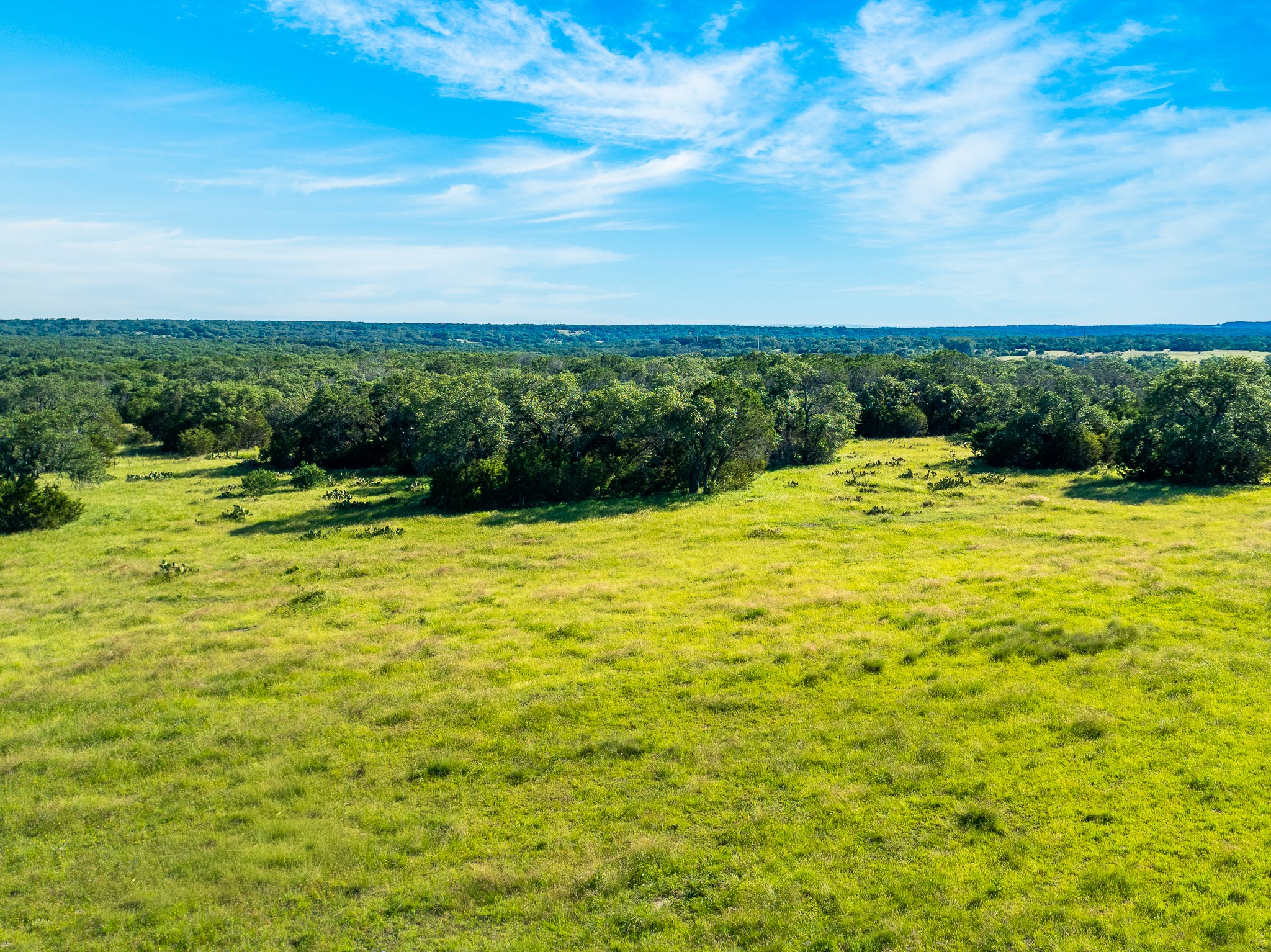32 Feild Ranch Road Burnet, TX 78611 - Photo 23 of 40 Vast green meadows stretch towards a distant tree line under a brilliant blue sky, offering boundless potential.