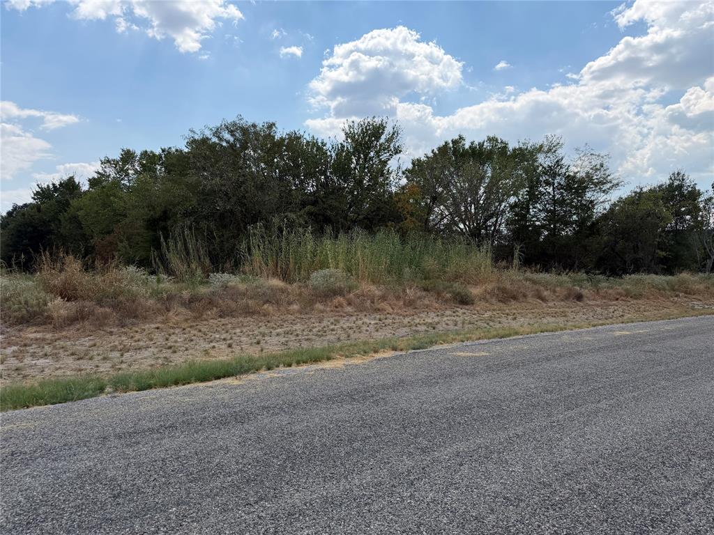 Lot 5 Co Road Farmersville, TX 75442 - Photo 15 of 15 Paved road frontage with natural vegetation