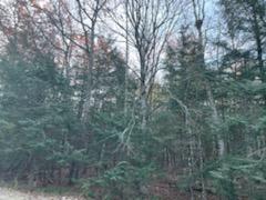 M7-l18-3 Troy Road Burnham, ME 04922 - Photo 6 of 8 IMG_1280