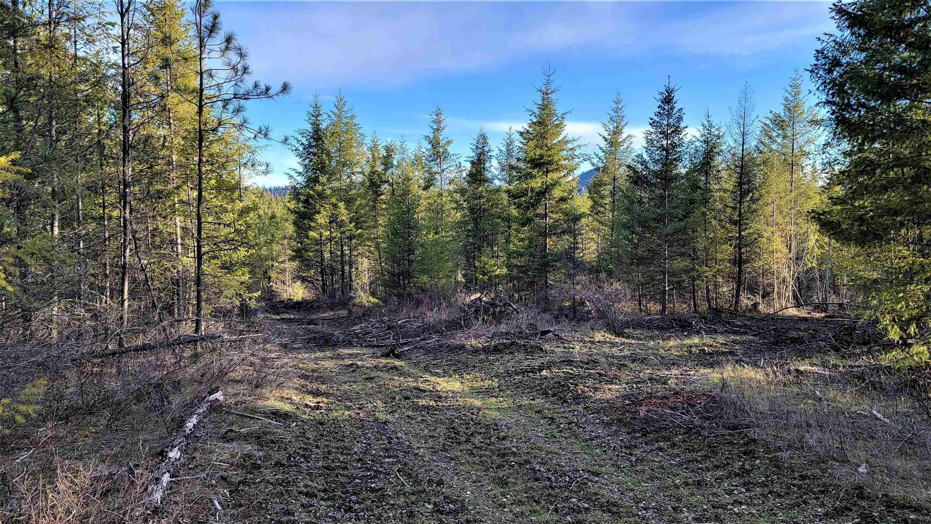 Lot 17 Misty Ridge Ln Road Newport, WA 99156 - Photo 11 of 14 Gallery Image 11