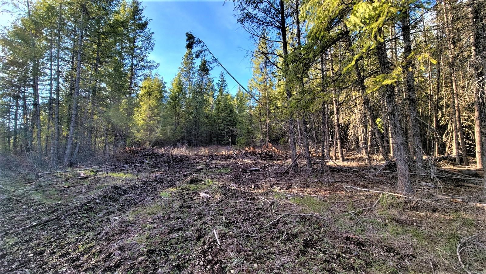 Lot 17 Misty Ridge Ln Road Newport, WA 99156 - Photo 5 of 14 Gallery Image 5