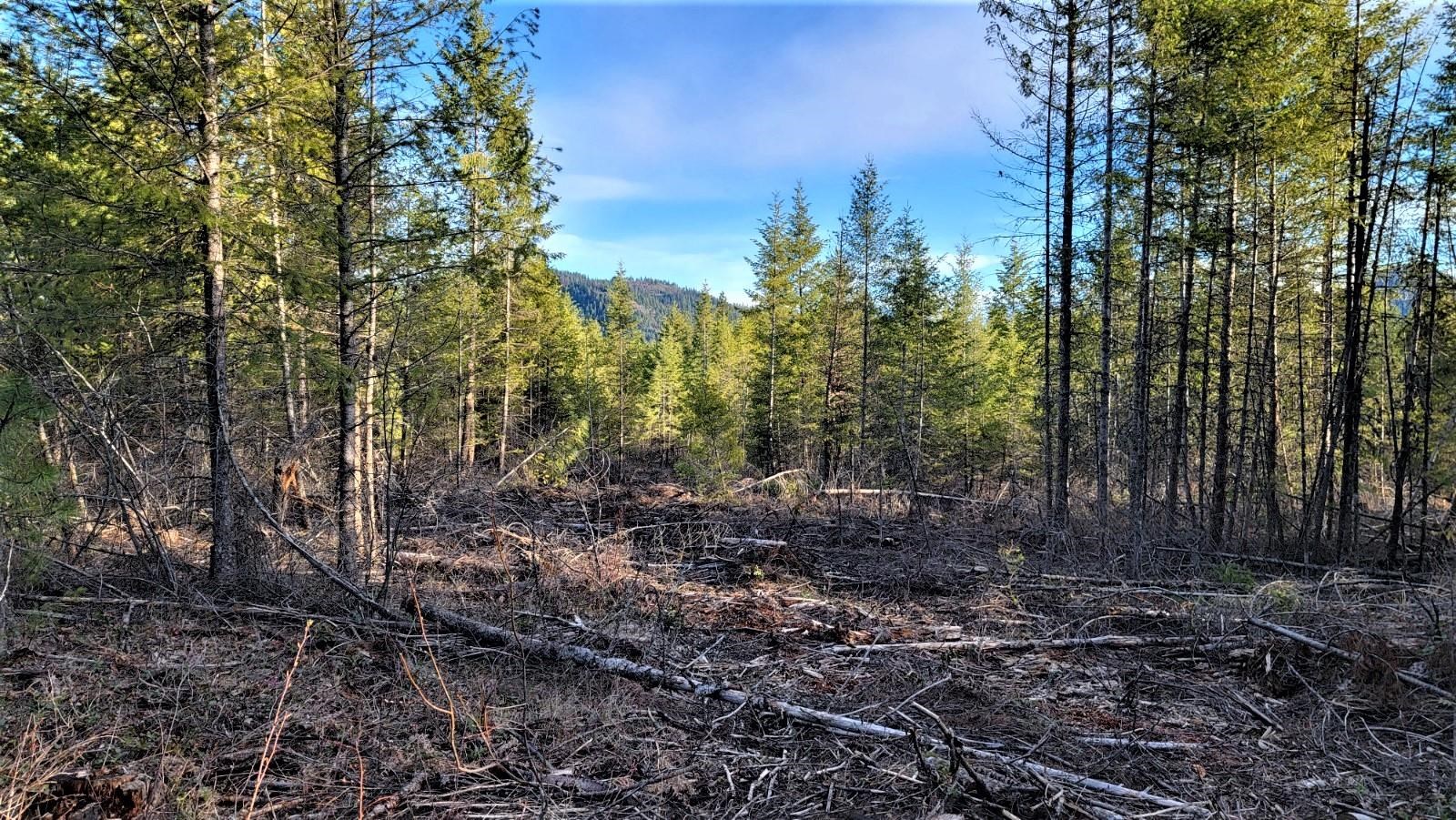 Lot 17 Misty Ridge Ln Road Newport, WA 99156 - Photo 10 of 14 Gallery Image 10