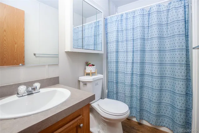 a bathroom with a sink toilet and vanity
