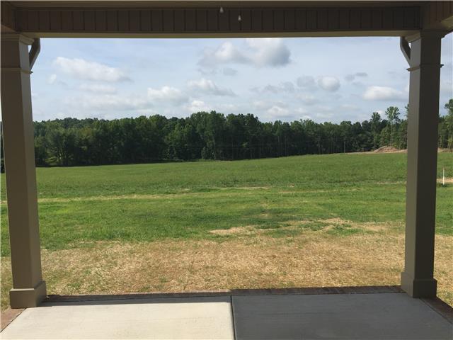 7373 Crow Cut Road Fairview, TN 37062 - Photo 7 of 7 a view of a field with an ocean view