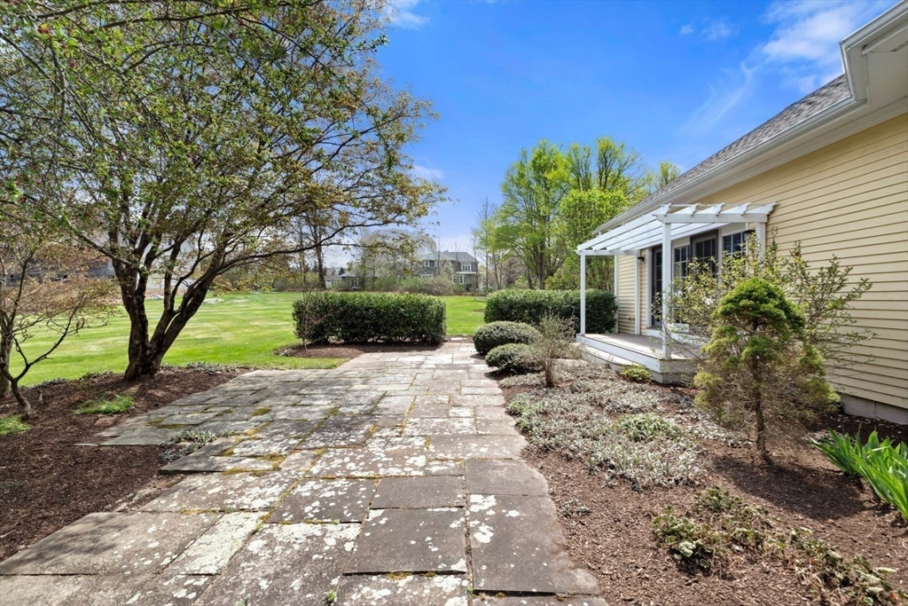 114 Farm Street Dover, MA 02030 - Photo 39 of 40 a view of a yard with plants and a large tree