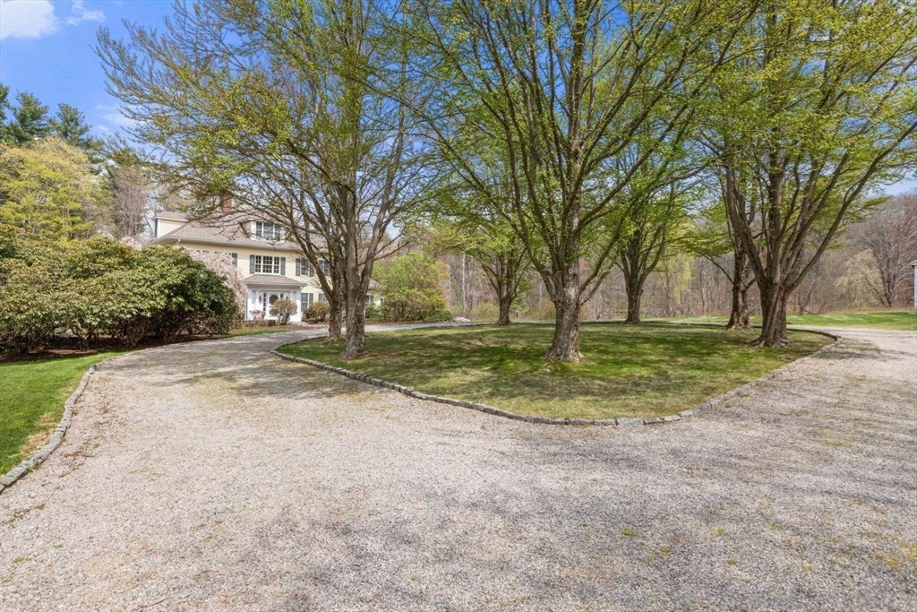 114 Farm Street Dover, MA 02030 - Photo 40 of 40 a view of outdoor space with trees