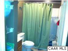 35 Crocus Road Ruckersville, VA 22968 - Photo 11 of 12 a bathroom with a toilet a sink and a shower curtain