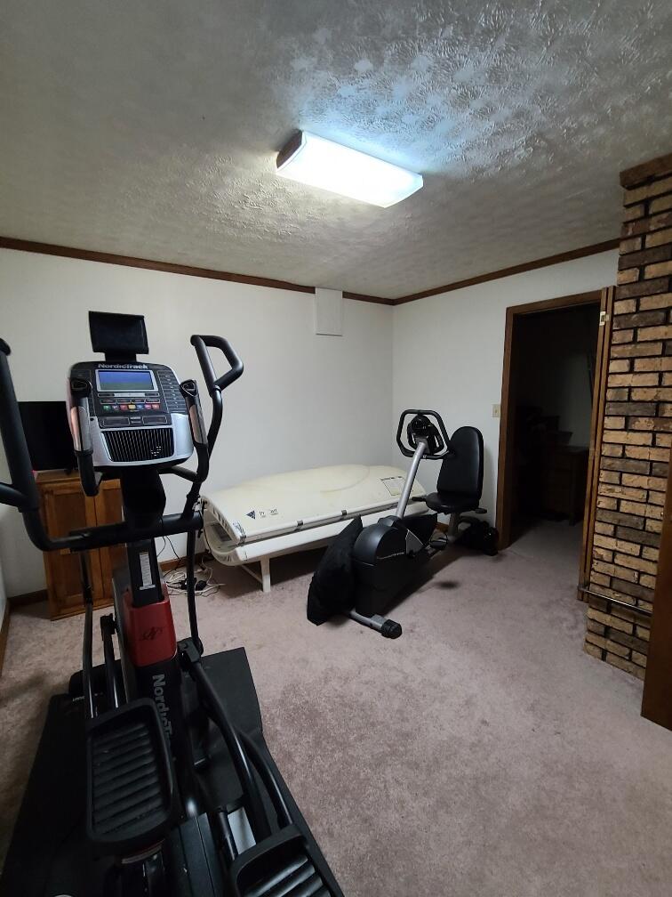 1148 Lambert Road Greenback, TN 37742 - Photo 12 of 26 Basement Bedroom