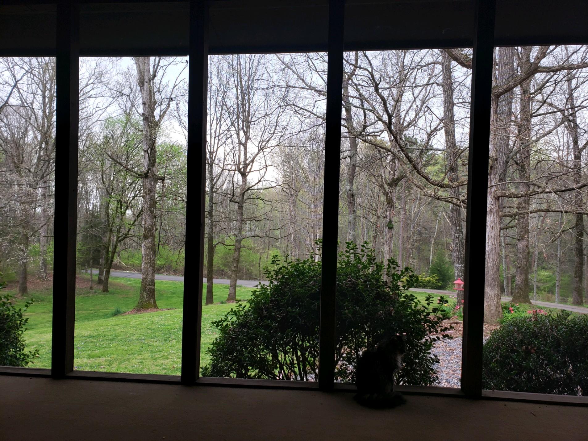 1148 Lambert Road Greenback, TN 37742 - Photo 8 of 26 Screened in porch