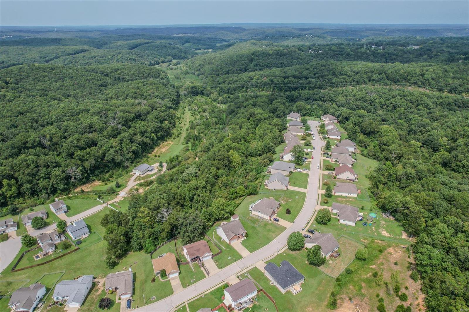 112 Birchtree Circle St. Robert, MO 65584 - Photo 47 of 53