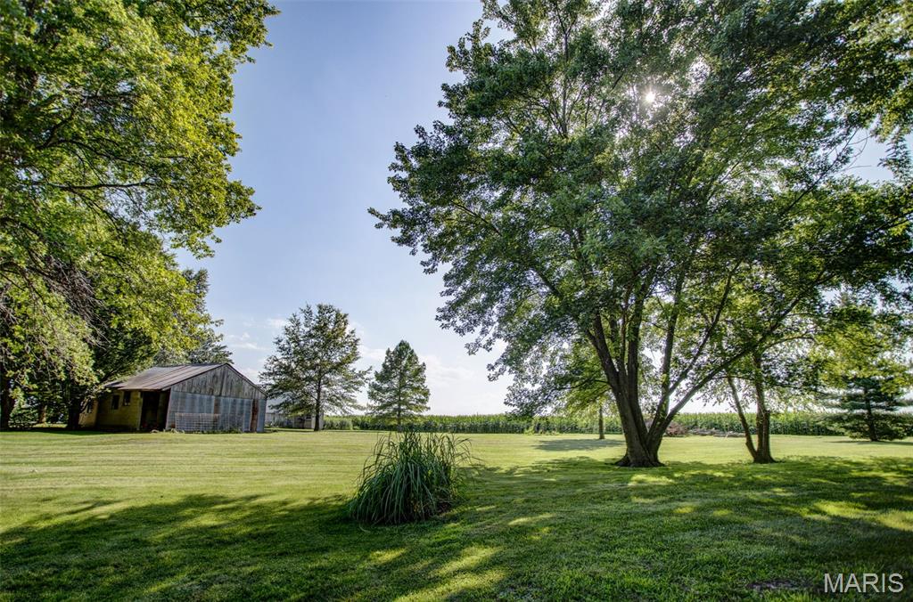 6063 Seiler Road Dorsey, IL 62021 - Photo 19 of 80