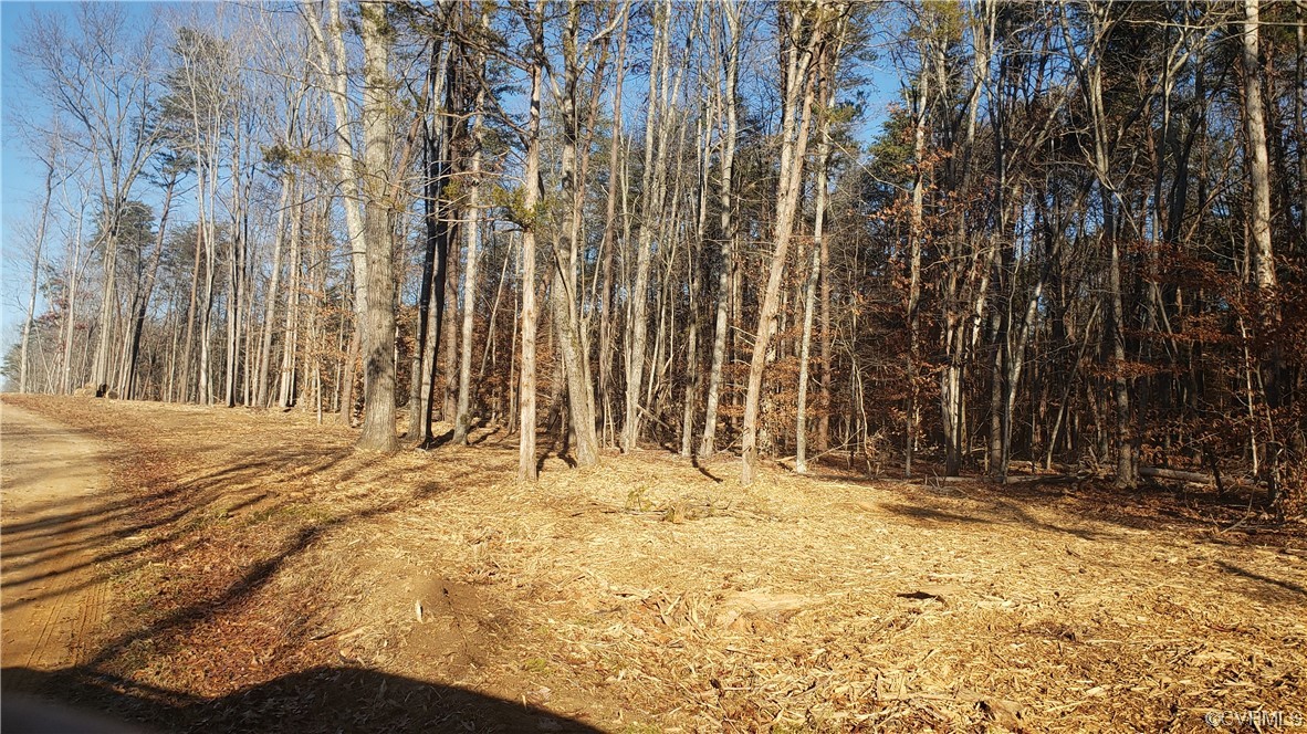 1257 Old Peach Tree Road Green Bay, VA 23942 - Photo 10 of 15 Gallery Image 10