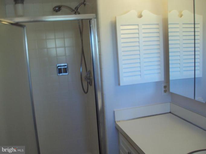 8815 Bells Mill Road Potomac, MD 20854 - Photo 18 of 29 Master Bath