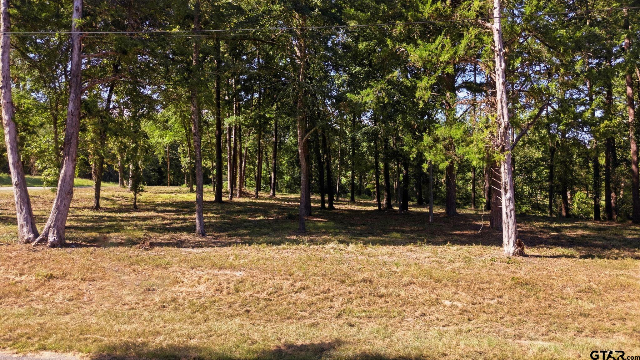 Tbd Tbd Wilson Road Tyler, TX 75707 - Photo 1 of 14 Gallery Image 1