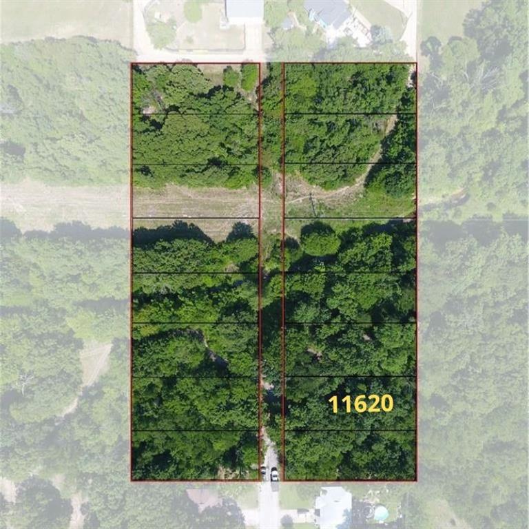 a view of a garden in a building