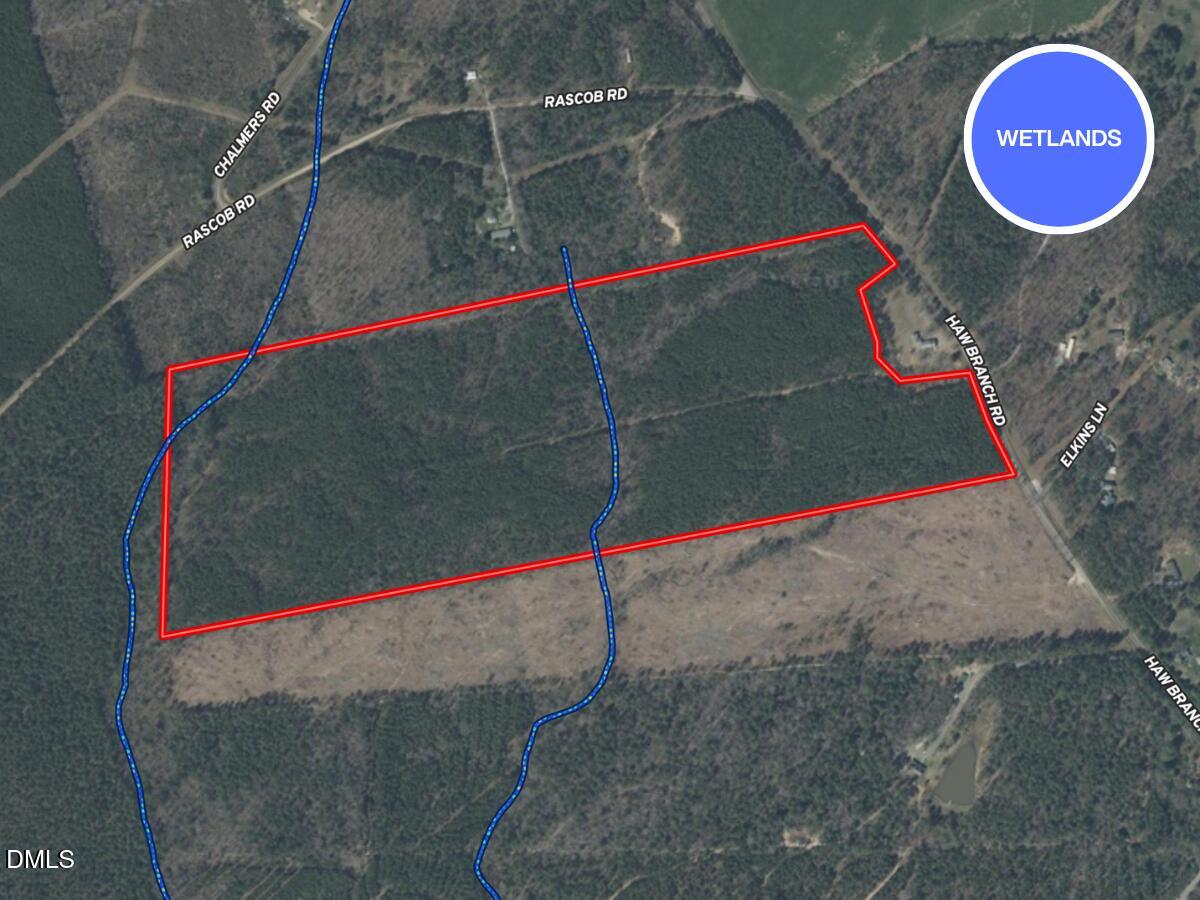 0 Haw Branch Road Sanford, NC 27330 - Photo 9 of 41 Wetlands Map