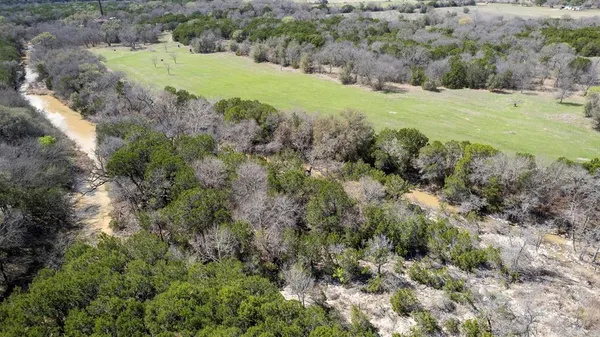 a view of a grassy area with an trees