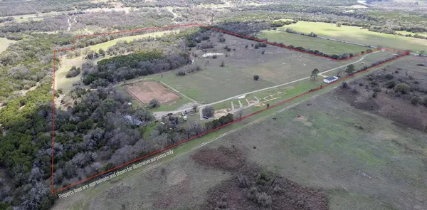 a close up of a plant