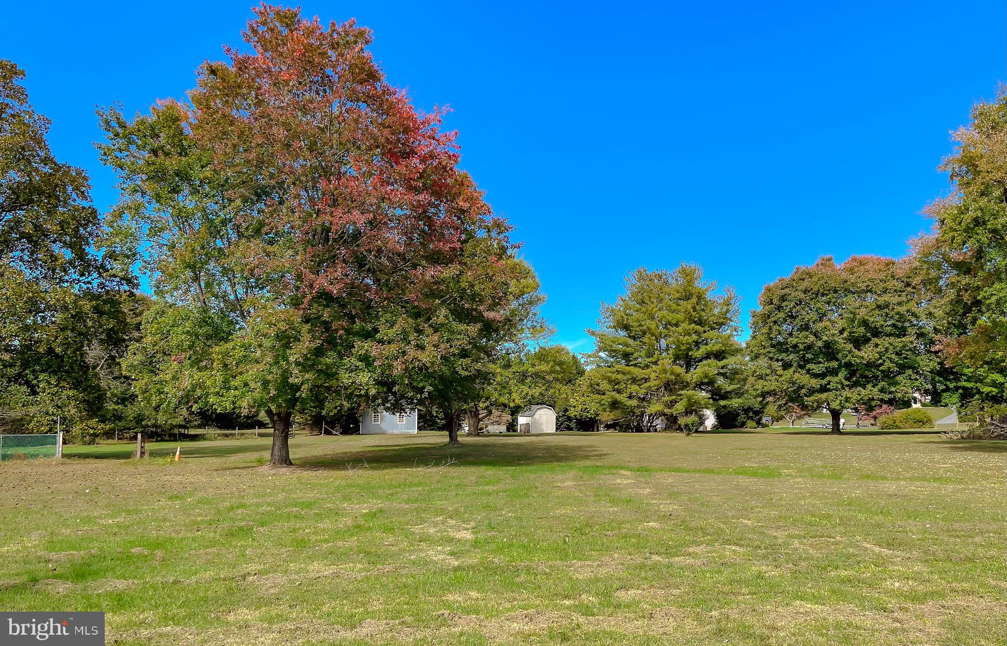 3345 Ferry Landing Road Dunkirk, MD 20754 - Photo 64 of 64 a view of yard with swimming pool and trees