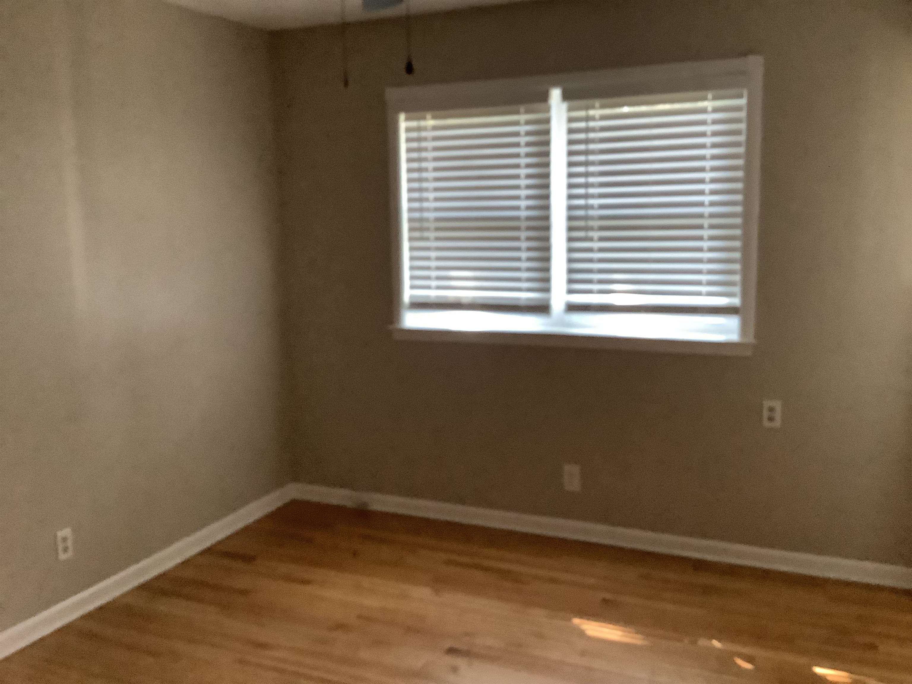 4179 Riche Road Memphis, TN 38128 - Photo 6 of 14 Spare room with a wealth of natural light and light hardwood / wood-style floors