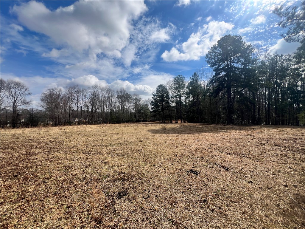 6980 Midway Road Pelzer, SC 29669 - Photo 13 of 15 A spacious expanse of land surrounded by a natural tree line, offering endless possibilities.
