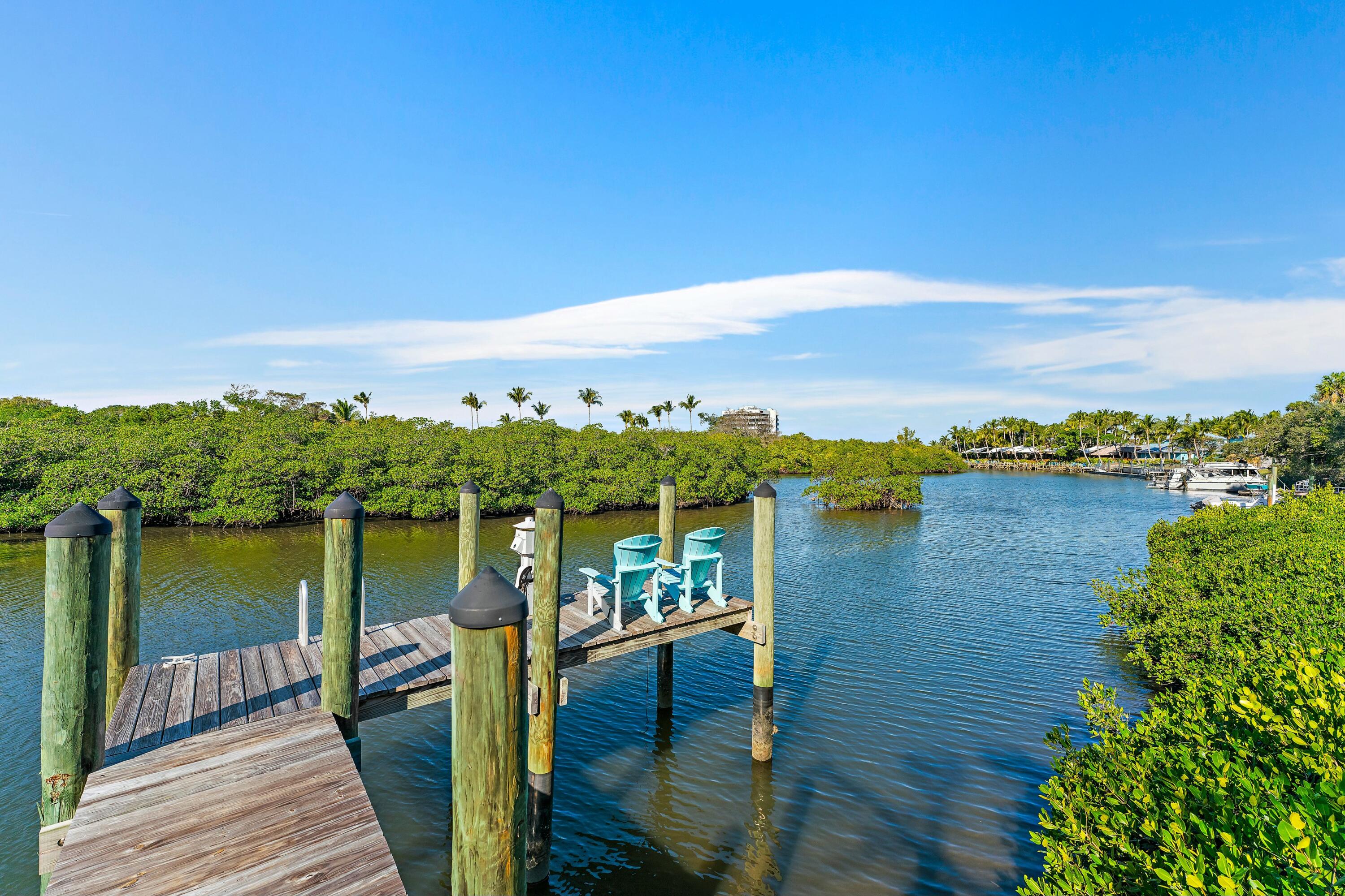 310 Inlet Waters Circle Jupiter, FL 33477 - Photo 2 of 32 Community Day Dock