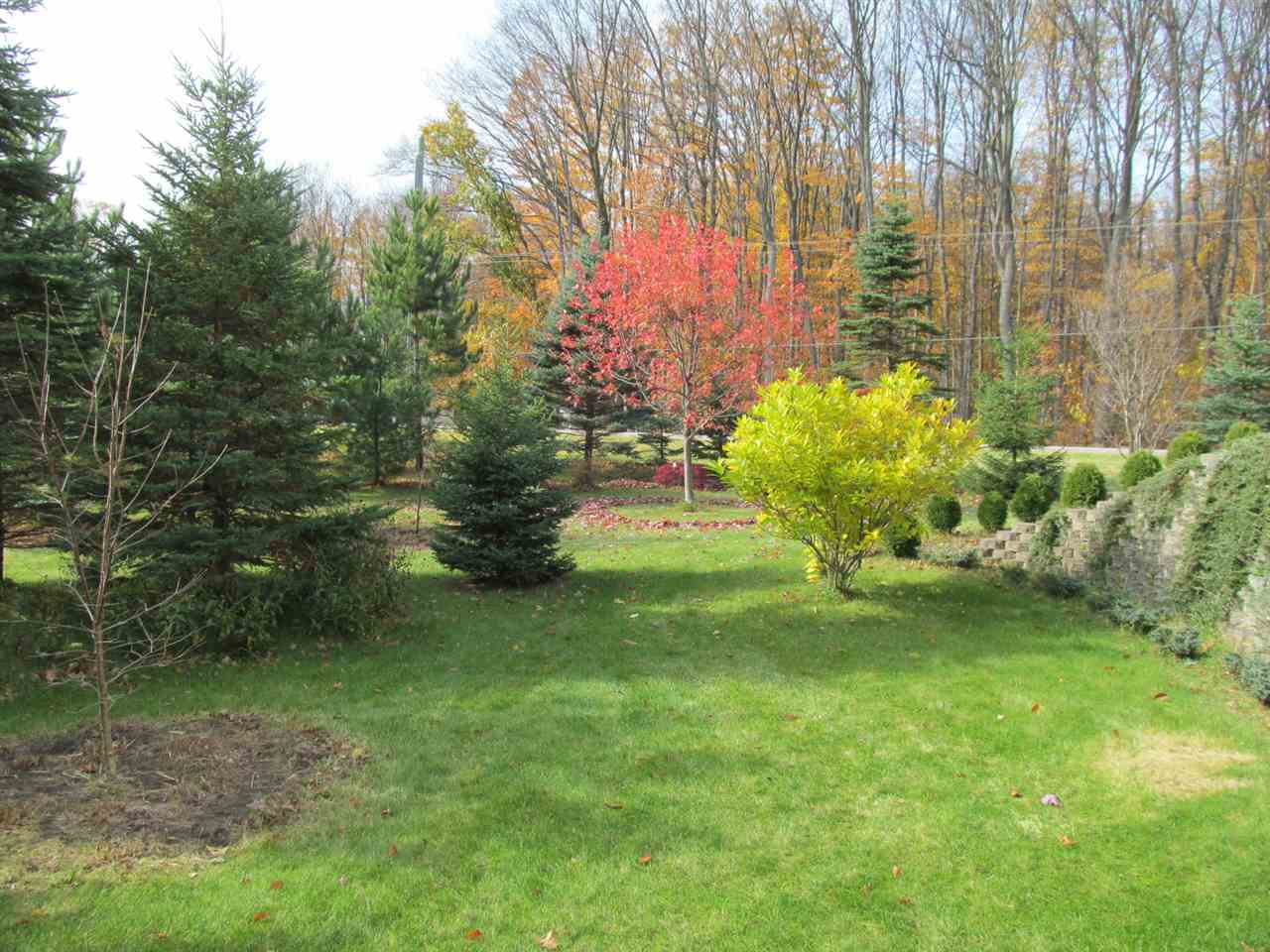 8633 45 Road Cadillac, MI 49601 - Photo 20 of 20 1808273-19.JPG