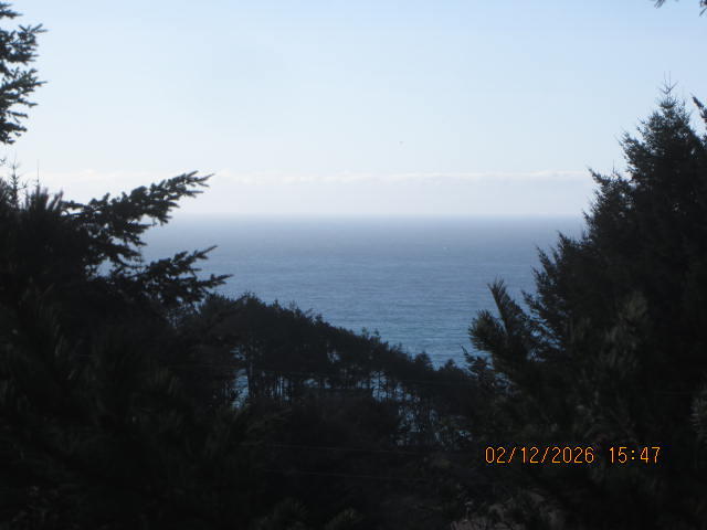576 Ridge Road Shelter Cove, CA 95589 - Photo 3 of 22 IMG_1022