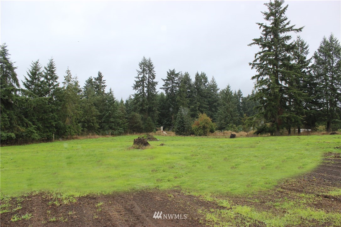 8826 James Road Southwest Rochester, WA 98579 - Photo 10 of 24