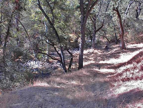 35891 Hopewell Road Squaw Valley, CA 93675 - Photo 23 of 31 Gallery Image 23