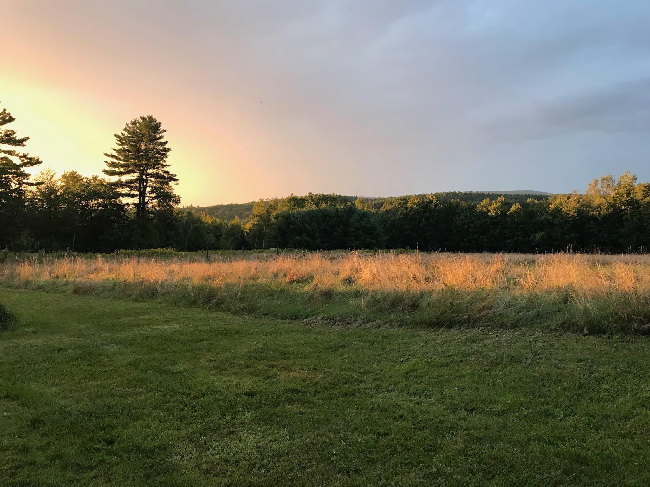 235 Middle Road Deerfield, NH 03037 - Photo 56 of 60