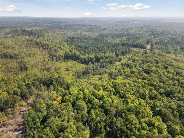 $140,000 | V/l North Town Line Road, Houghton Lake, MI 48629