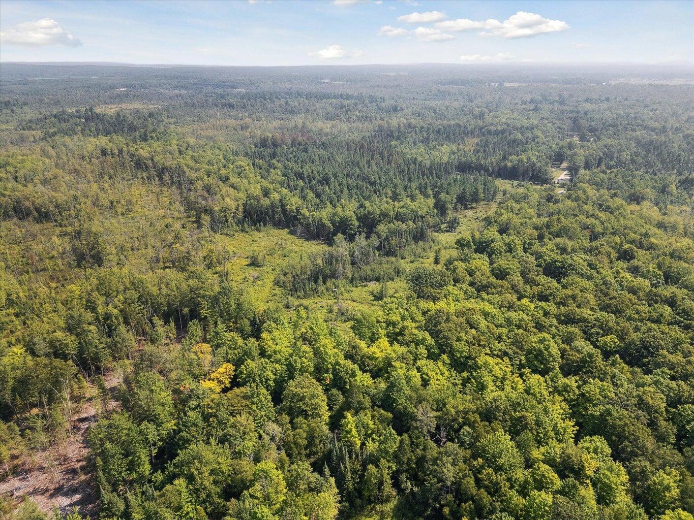 V/l North Town Line Road Houghton Lake, MI 48629 - Photo 8 of 8 TR 8