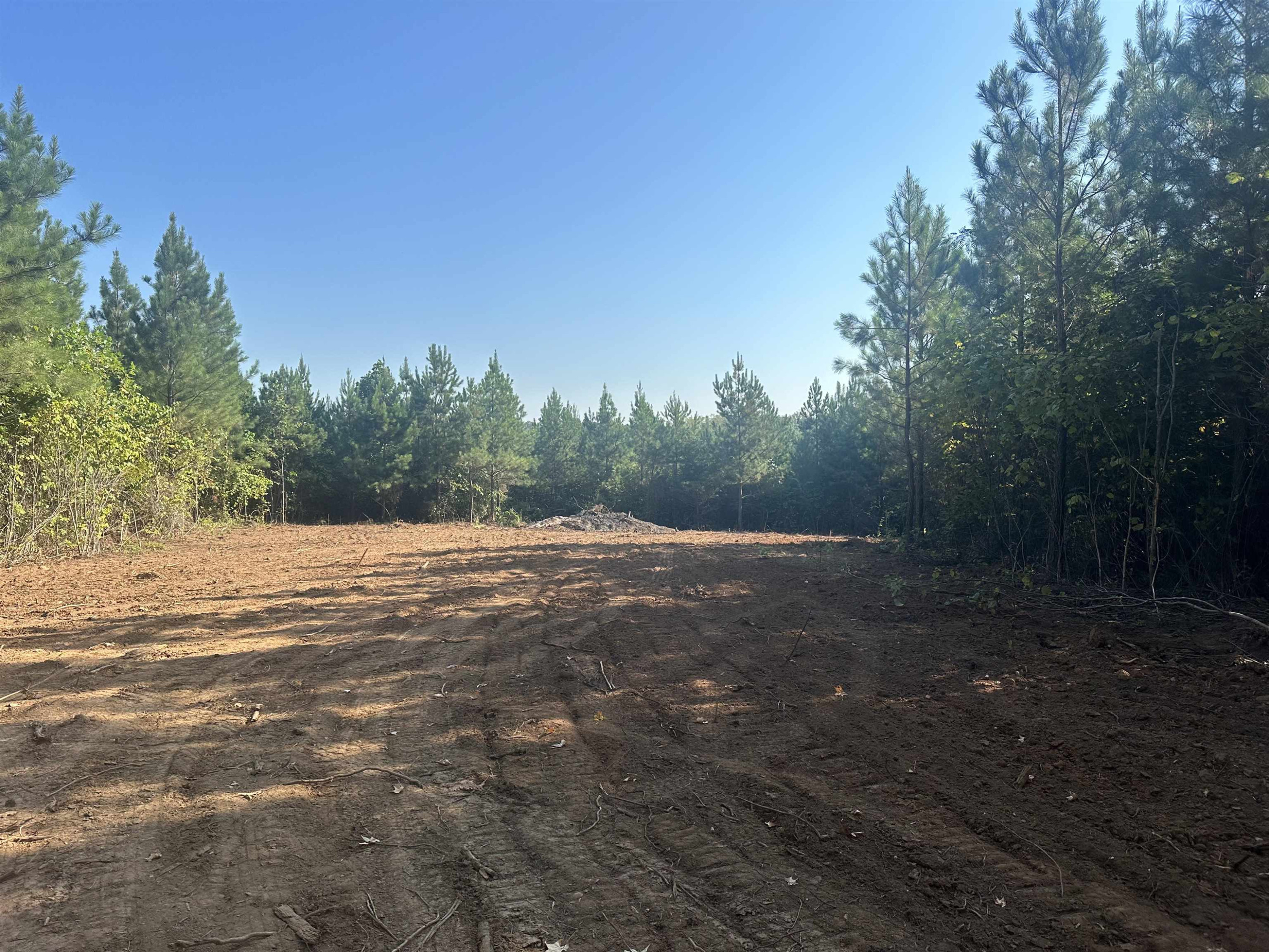 672 Paschall Road Yanceyville, NC 27379 - Photo 1 of 7 Photo 1